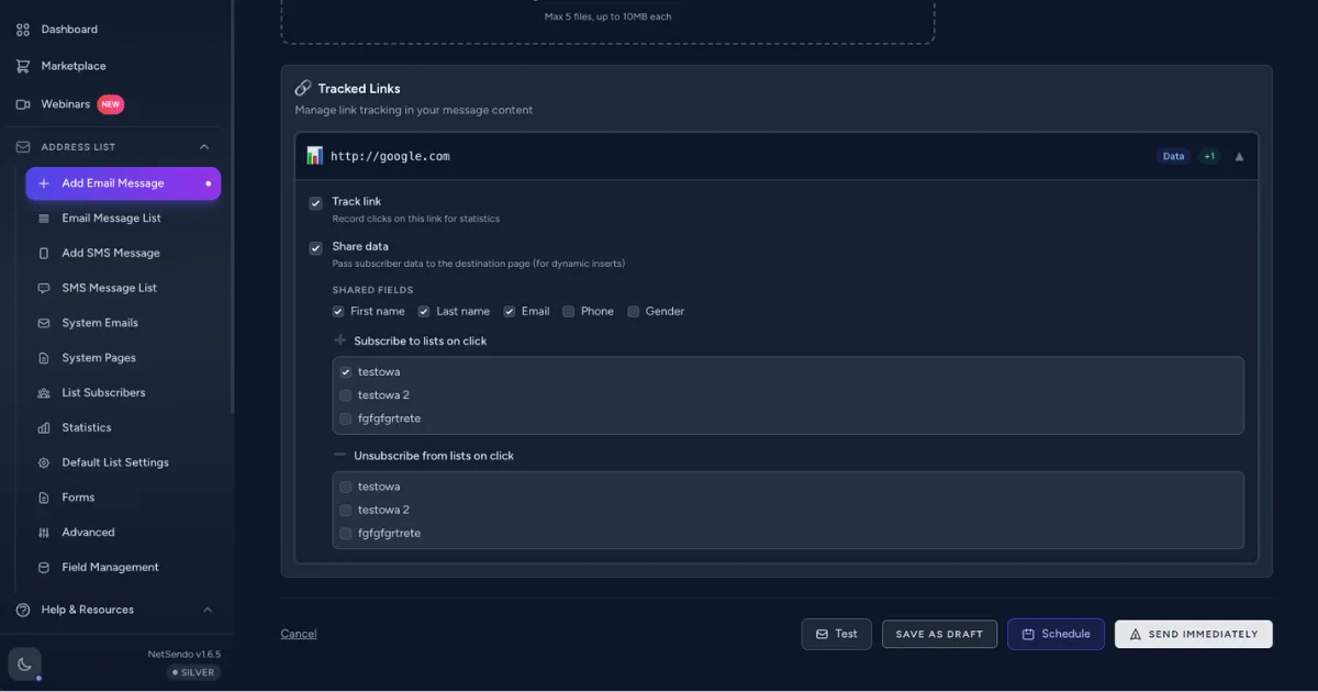 NetSendo v1.6.2: Advanced Tracked Links & API Upgrades